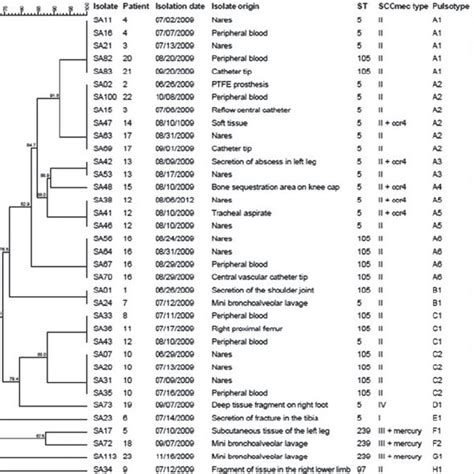 Dendrogram Of The PFGE Patterns Clinical Source Sequence Type And SCC