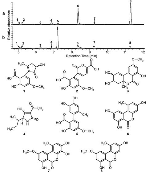 High Performance Liquid Chromatography Ultraviolet Spectrophotometry