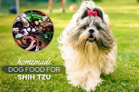 How Much Homemade Dog Food To Feed A Shih Tzu