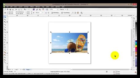 Coreldraw X Tutorial How To Use The Crop Tools Youtube