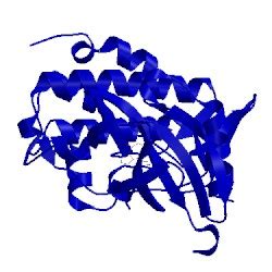 Pdb C J