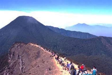 13 Pendaki Asal Sukabumi Tersesat Di Gunung Gede ANTARA News