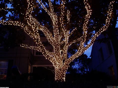 Indoor Outdoor Christmas Lights