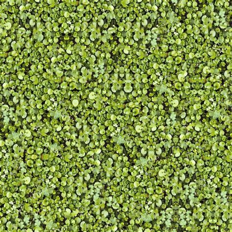 Premium Photo Seamless Green Grass Ground Pattern Background Texture