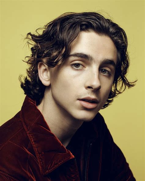 Timothée Chalamet photographed by Ryan Pfluger (With images) | Timothee ...