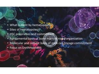 Hematopoiesis_14092023_MDG.pdf | Free Download