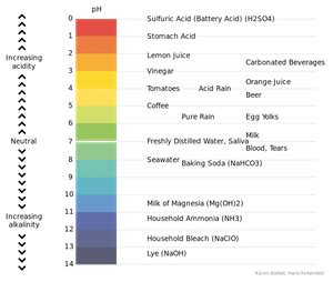 The pH Scale, Solutions & Buffers | Study.com