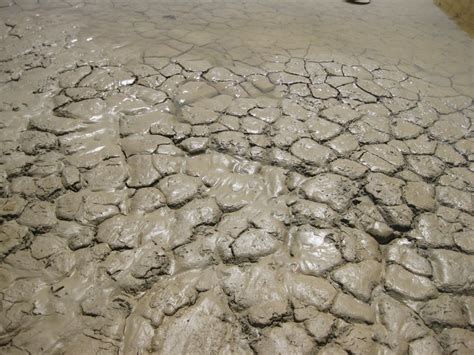 Imaggeo Soil Waterlogging