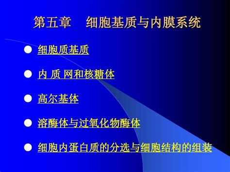 第05章 基质与内膜word文档在线阅读与下载无忧文档