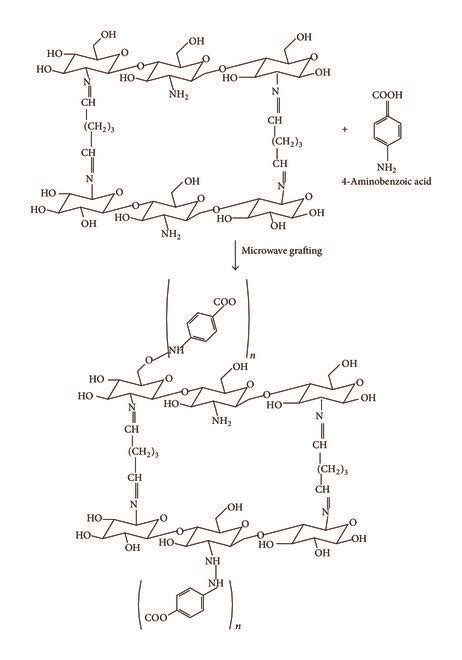 Schematic Representation Of The Proposed Structure Of The Grafting