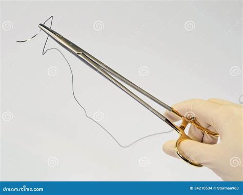 Steel Surgical Forceps Holding Suture Needle Stock Photo Image Of