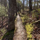 Hot Springs To Tanyard Gap Via Appalachian Trail North Carolina 340