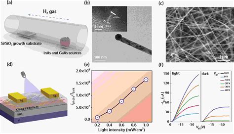 Hybrid C Btbt Ingaas Nanowire Heterojunction For Artificial