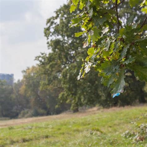 Miniature Street Art Installations by Slinkachu Interact with Their Surroundings