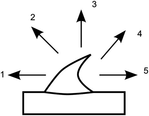 Directions of traction forces in the mechanical tests. Traction force... | Download Scientific ...