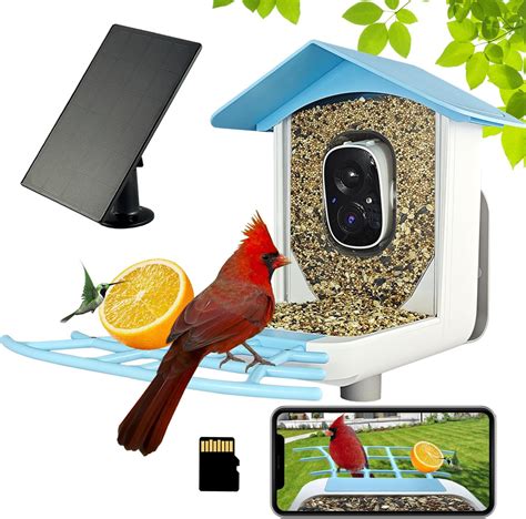 Amazon Bird Feeder With Camera Kadymay AI Identify 10 000 Bird