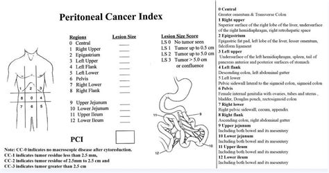 The Intraoperative Correlation Of The Sugarbakers Peritoneal Cancer