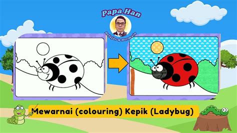 Belajar Bermain Riang Bersama Papa Han Mewarnai Colouring Kepik