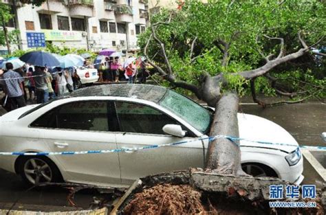 全国多地遭暴雨袭击 图片频道 人民网