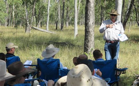 Better Beef Production Helps Environment Research Shows Farm Online