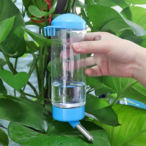 Bình Nước Bi 80ml Cho Hamster Shopee Việt Nam