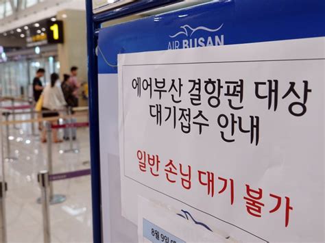 태풍 카눈 북상에 제주 오가는 항공편 결항 뉴시스pic 파이낸셜뉴스