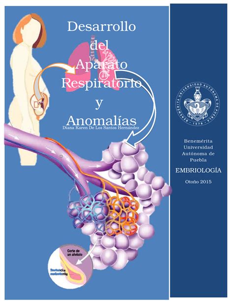 Embriología del aparato respiratorio Desarrollo del Aparato