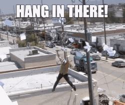 Hang In There GIFs | GIFDB.com