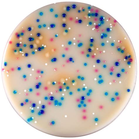 Chromogenic Urine Agar Iv Biolife Cromogeni