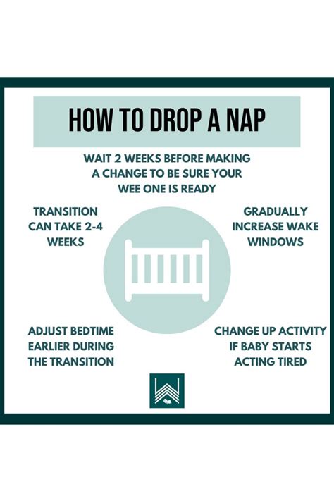 Steps To Drop A Nap Well Rested Wee Ones Nap How To Stay Awake