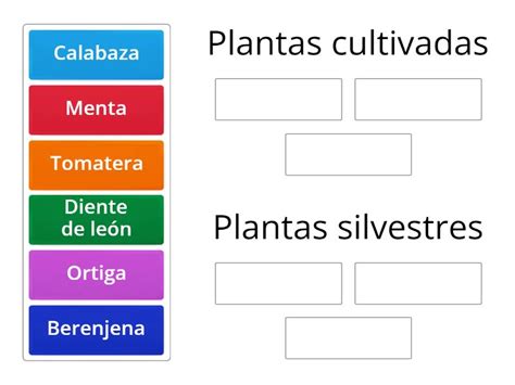 La primera clase de herbología de Hermione Granger Posortuj