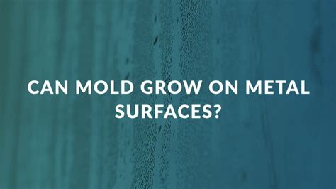 Does Mold Grow On Metal Heres What You Need To Know