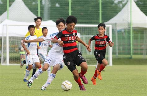 화랑대기 전국 유소년축구대회 경주서 12일부터 재개 연합뉴스