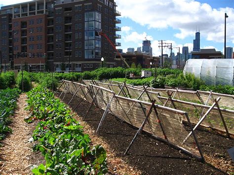 How To Make Urban Farming Sustainable Distribution