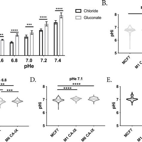 Increased Intracellular Ph Enhances Glycolysis In Breast Cancer Cells