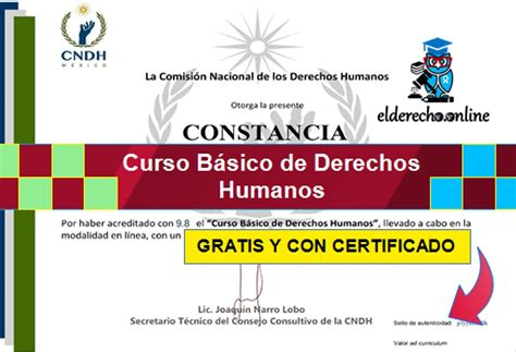 Curso Básico De Derechos Humanos El Derecho Online2025