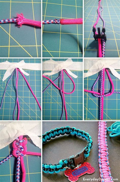 Diy Dog Collar Diy Ideas