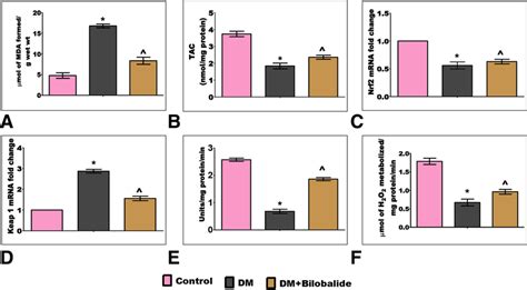 The Regulatory Outcome Of Bilobalide On Oxidative Stress A MDA B Total