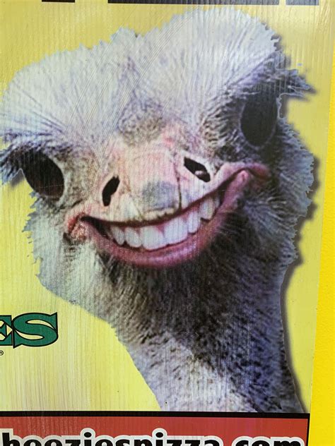 Ostrich With Human Teeth Roddlyterrifying