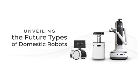 Unveiling The Future 20 Types Of Domestic Robots Proven Robotics