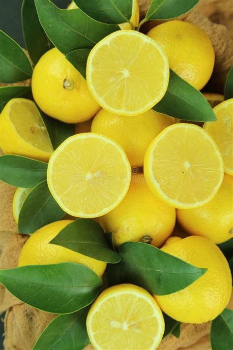 Grupo De Limones Con Hojas Aisladas En El Fondo Foto De Archivo