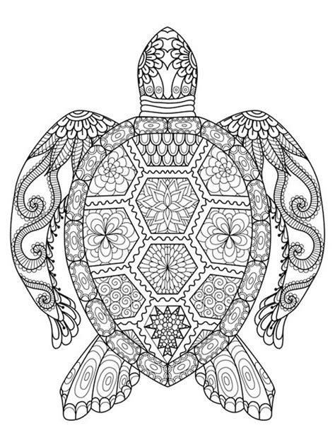 Omalovánky Želva Mandala Pekneomalovankycz