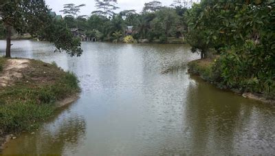 Danau Kualo Mudo Wisata Duri Bengkalis RiauMagz