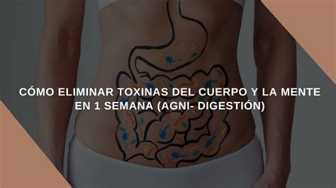 C Mo Eliminar Toxinas Del Cuerpo Y La Mente En Semana Agni