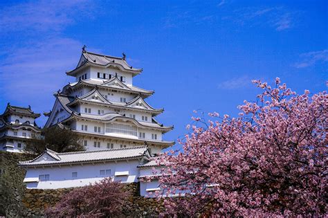 Fondos de Pantalla Japón Castillo Primavera Floración de árboles Himeji