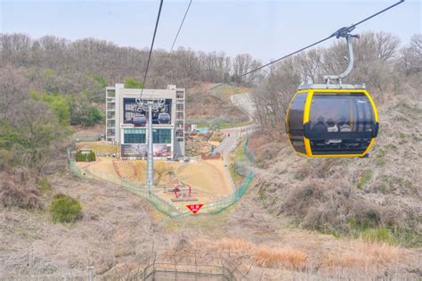 경기도 파주 가볼만한곳 임진각 파주곤돌라 Dmz투어 파주여행 코스 네이버 블로그