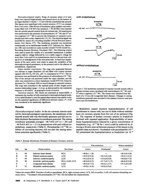 Jci Endothelium Dependent Hyperpolarization Caused By Bradykinin In