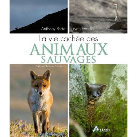 Beau Livre La Vie Cachee Des Animaux Sauvages