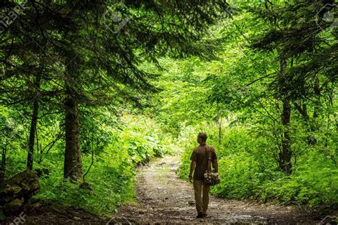 Descubre el significado del camino una búsqueda de sentido y aventura