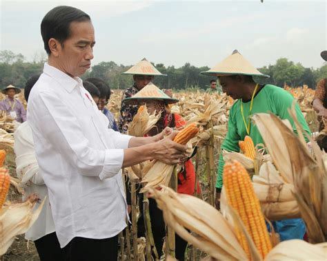 PPID Kementrian Lingkungan Hidup Dan Kehutanan Atasi Konflik Lahan